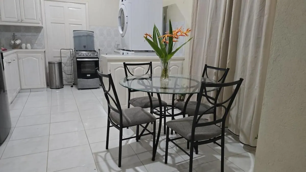 Comfy, Spacious Apartment Near The Beach Saint Joseph