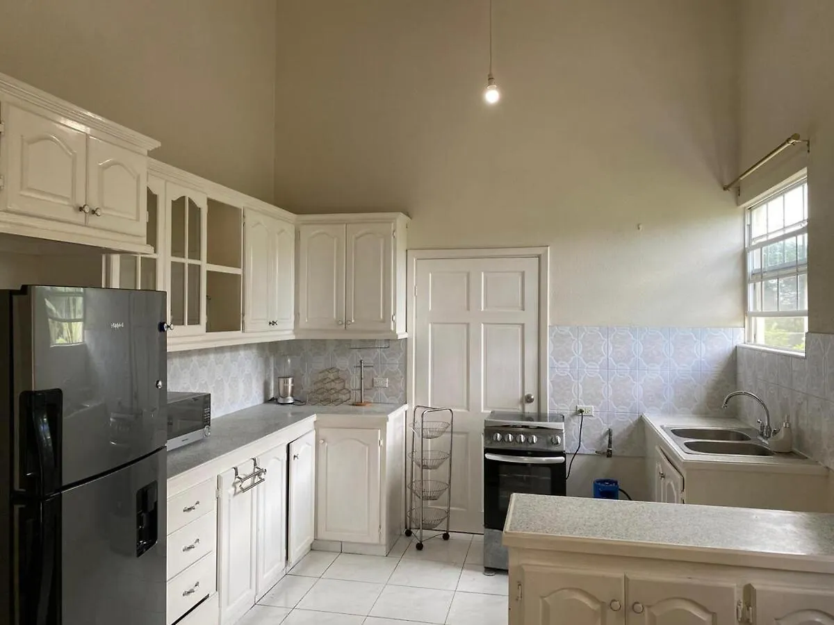Comfy, Spacious Apartment Near The Beach Saint Joseph