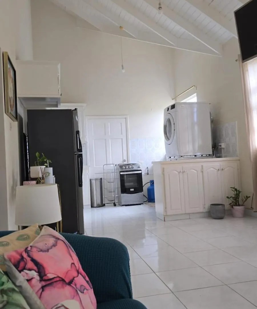 Comfy, Spacious Apartment Near The Beach Saint Joseph